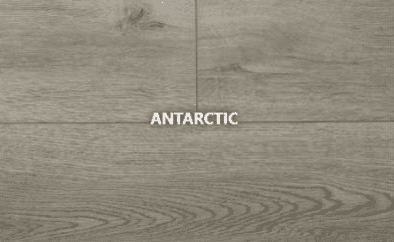 Influencer-Antartic